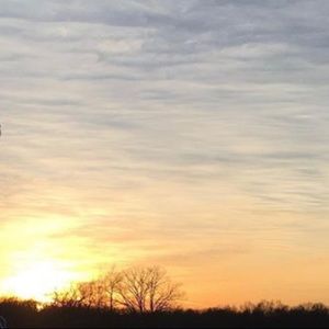 Meet your Posher, Bell